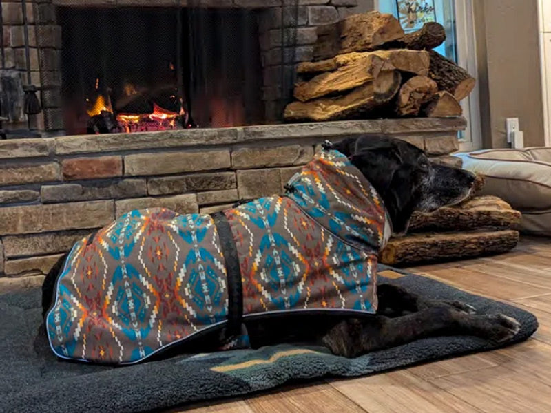 Pendleton dog coat waterproof