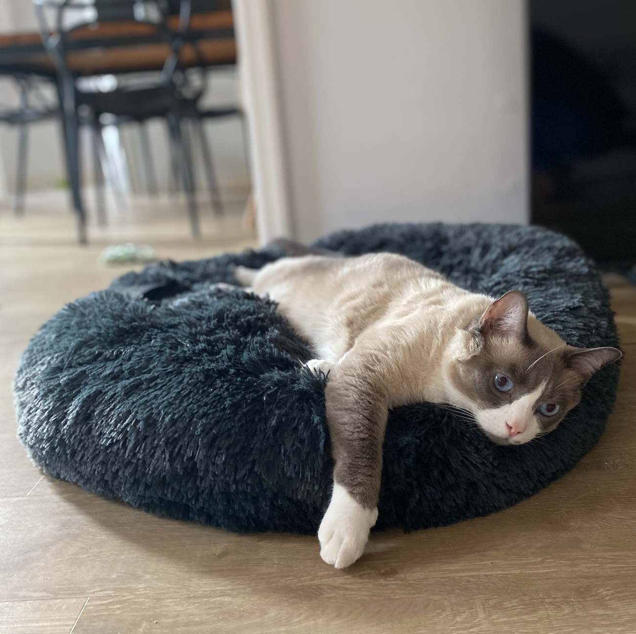 Siamese cat sleeping on cute and warm Nandog shaggy cat bed