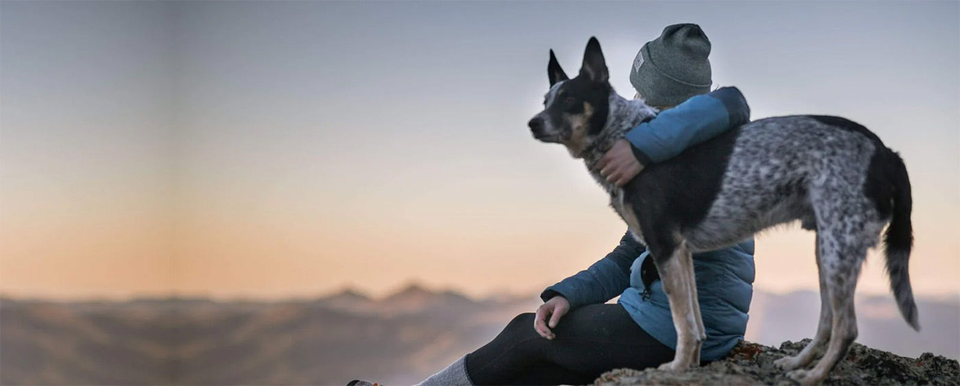 dog and dog owner hiking