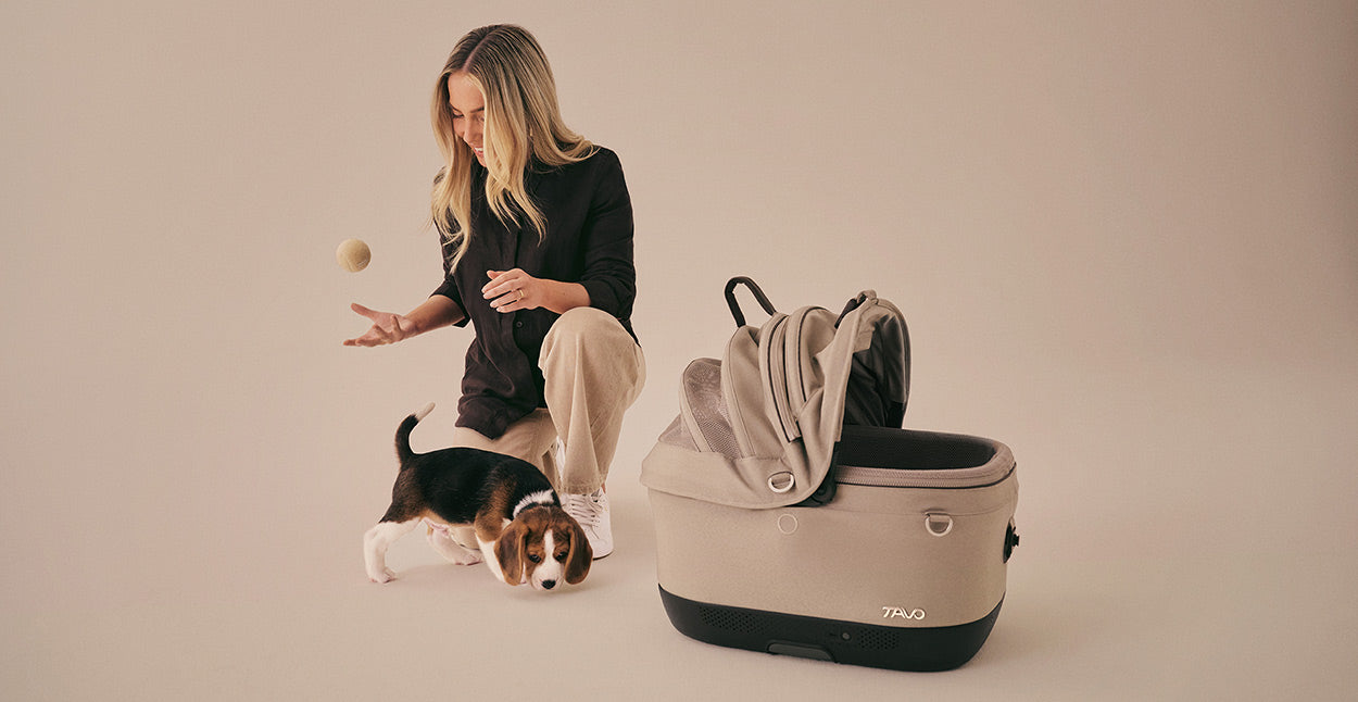 Tavo Pet Car Seats, Strollers & Carriers for Cats and Dogs