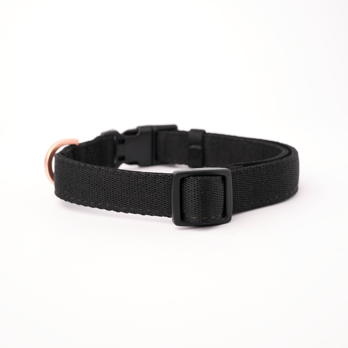 Black City dog collar with buckle and D-ring