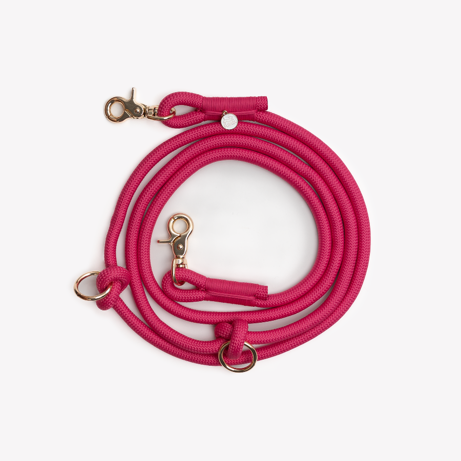Pink dog leash with gold hardware on a white background