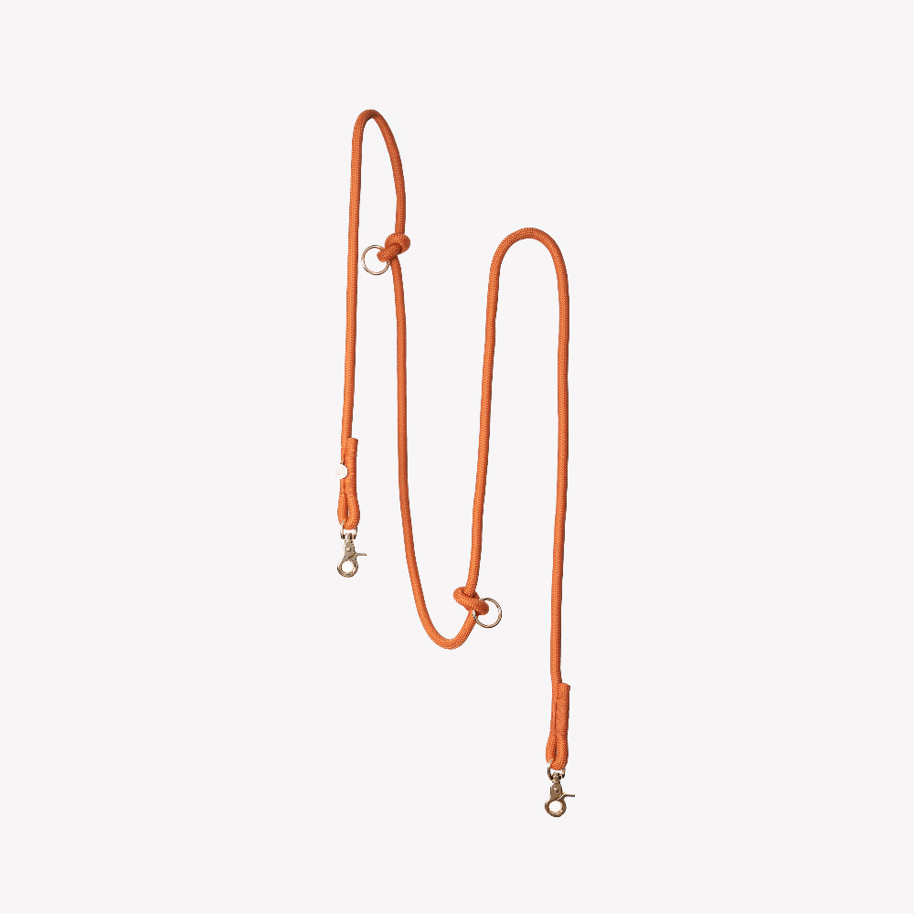 Orange dog leash on a light gray background