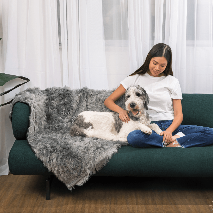 Woman sitting on a green couch with a dog, surrounded by a gray fluffy blanket.