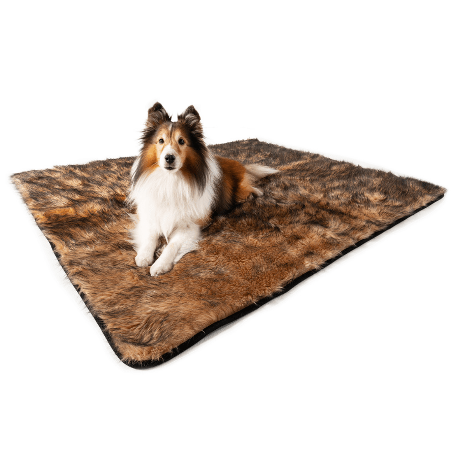 Border collie dog sitting on a brown fur pet blanket against a white background