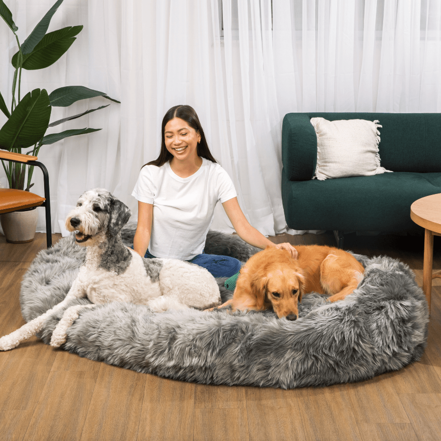 Woman sitting on a fluffy gray pet bed with two dogs in a living room.