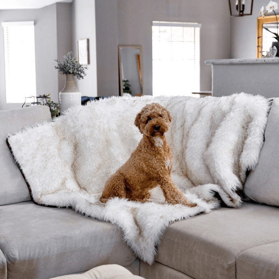 PupProtector waterproof dog blanket in white with brown accents, photo 7