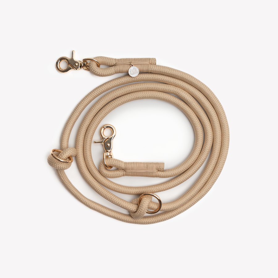 Beige dog leash with gold hardware on a white background