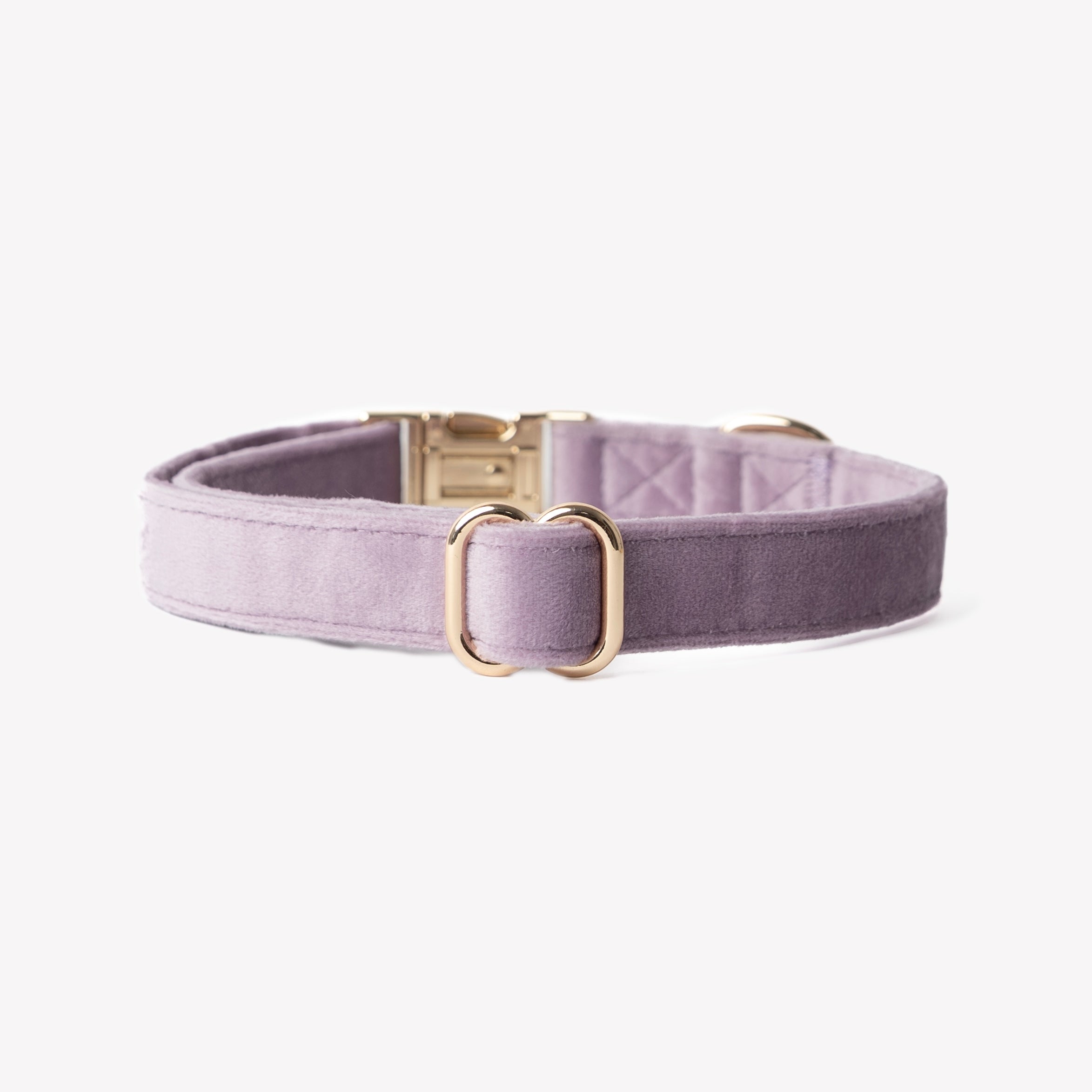 Luxury Velvet Dog Collar | Lilac
