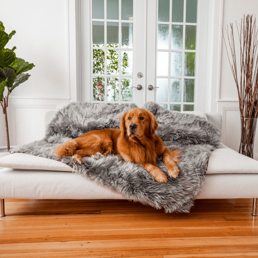 PupProtector waterproof dog blanket in charcoal grey