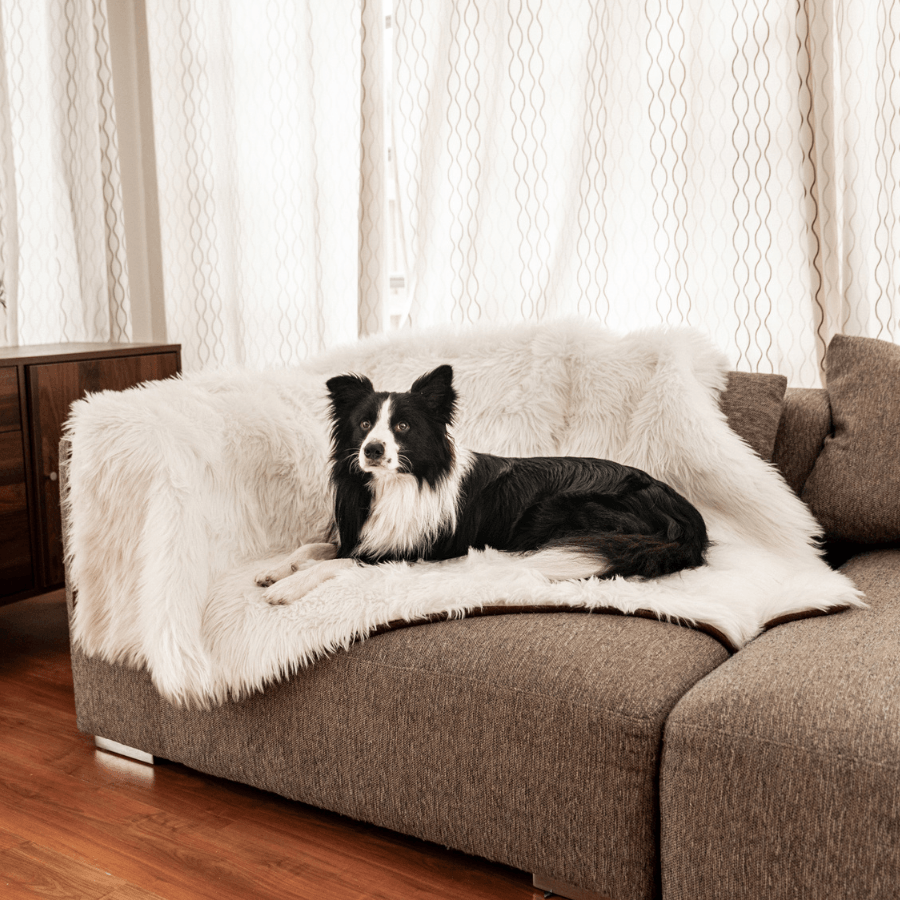 PupProtector waterproof dog blanket in polar white