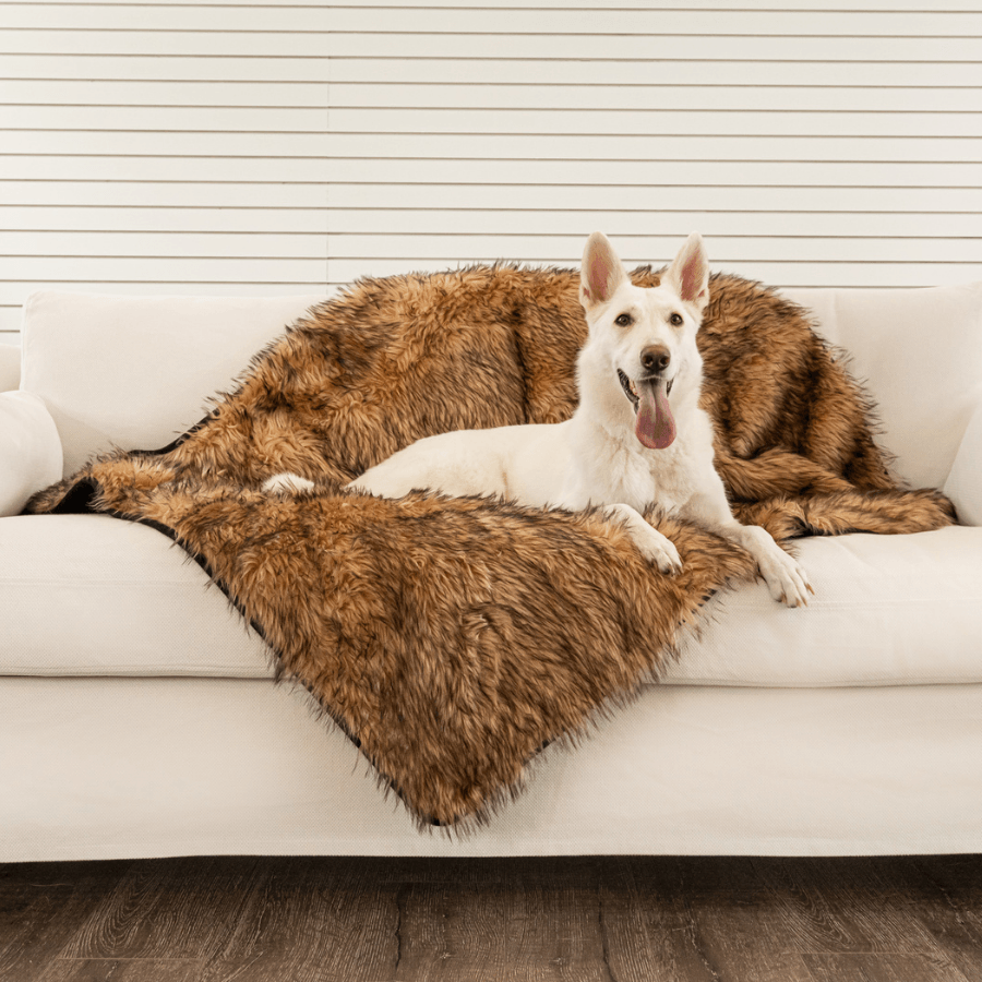 Large shepherd dog lying on a brown fur pet blanket on a white couch