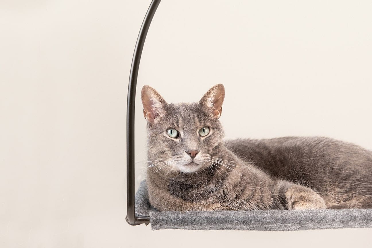 Cloud Nine Window Hammock For Cats