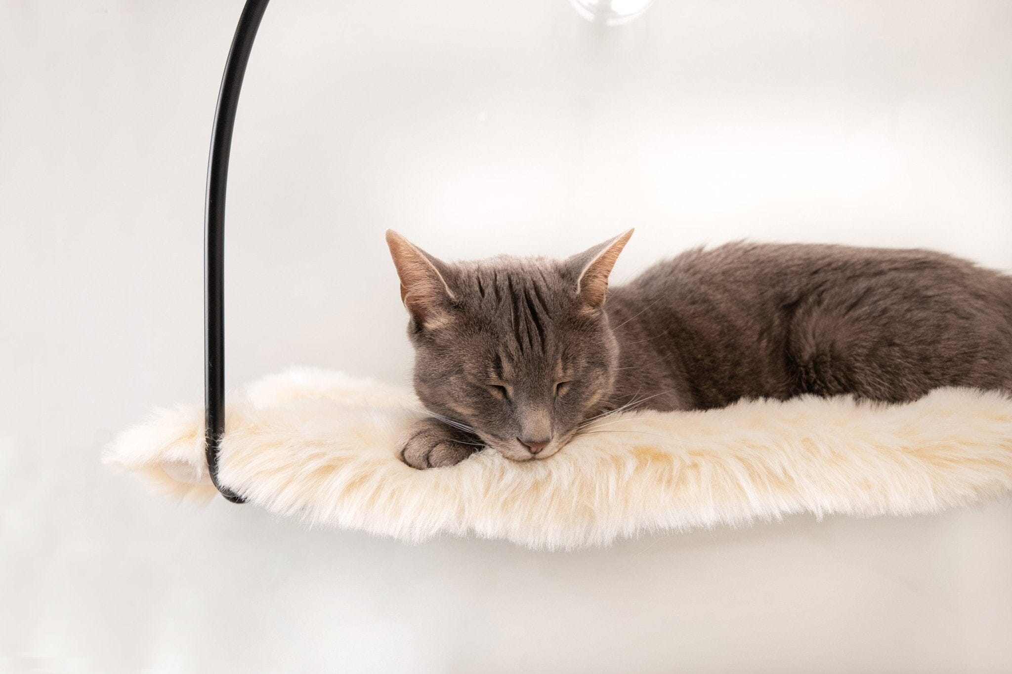Cloud Nine Window Hammock For Cats