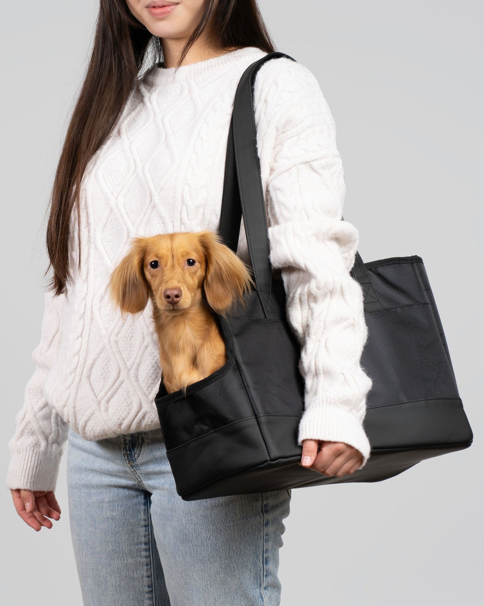 Black Tote Bag For Small Dogs