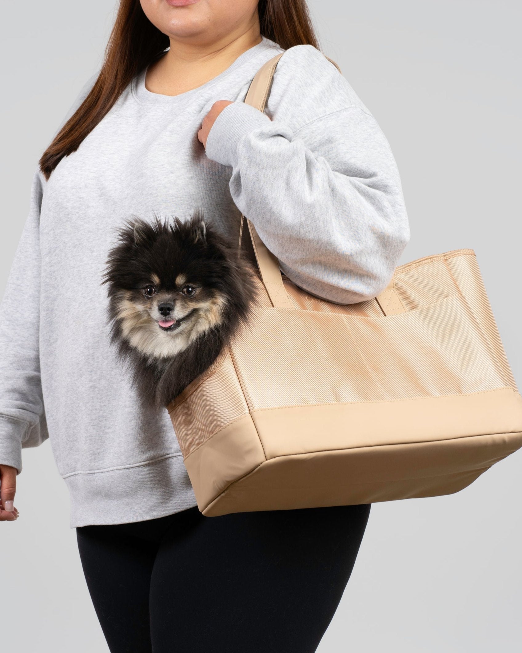 Beige Pet Tote Bag Carrier For Small Dogs