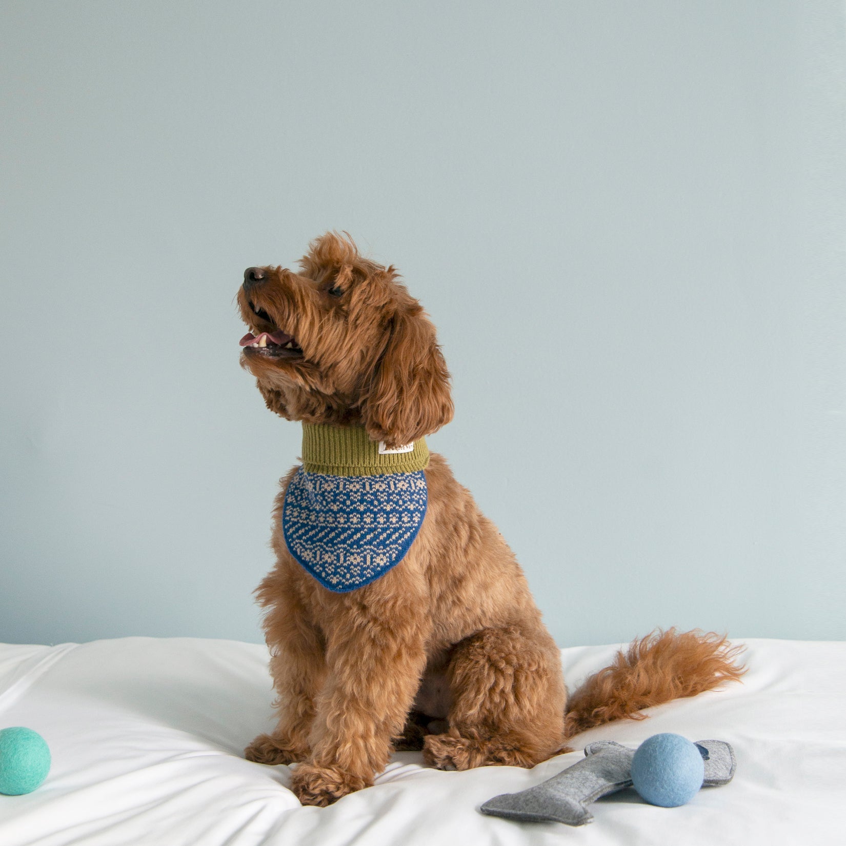 Nooee Pet Wool Neck Warmer