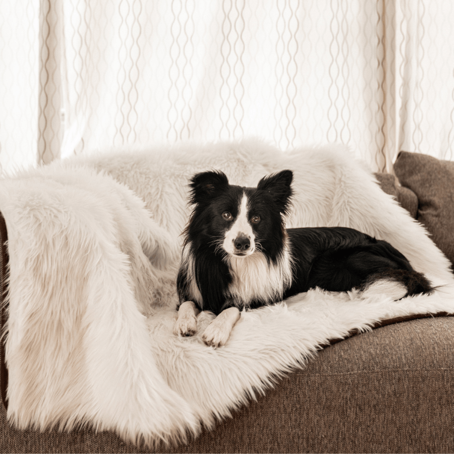 PupProtector waterproof dog blanket in polar white, photo 5