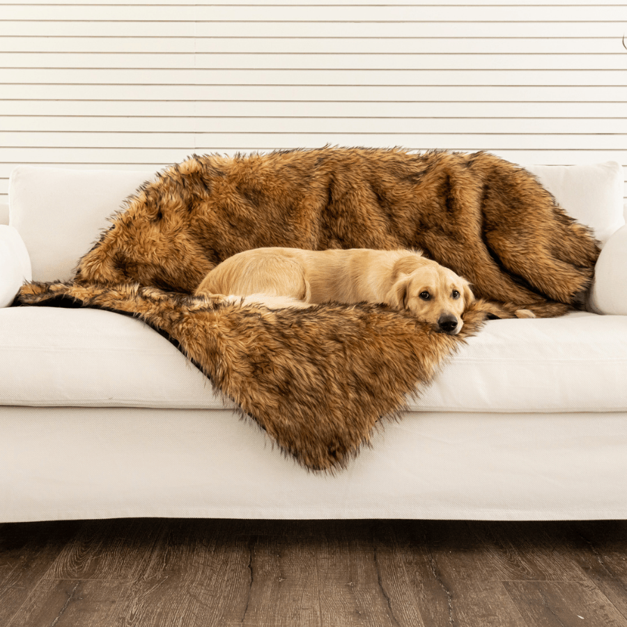 Large dog lying on a brown fur pet blanket on a white couch.
