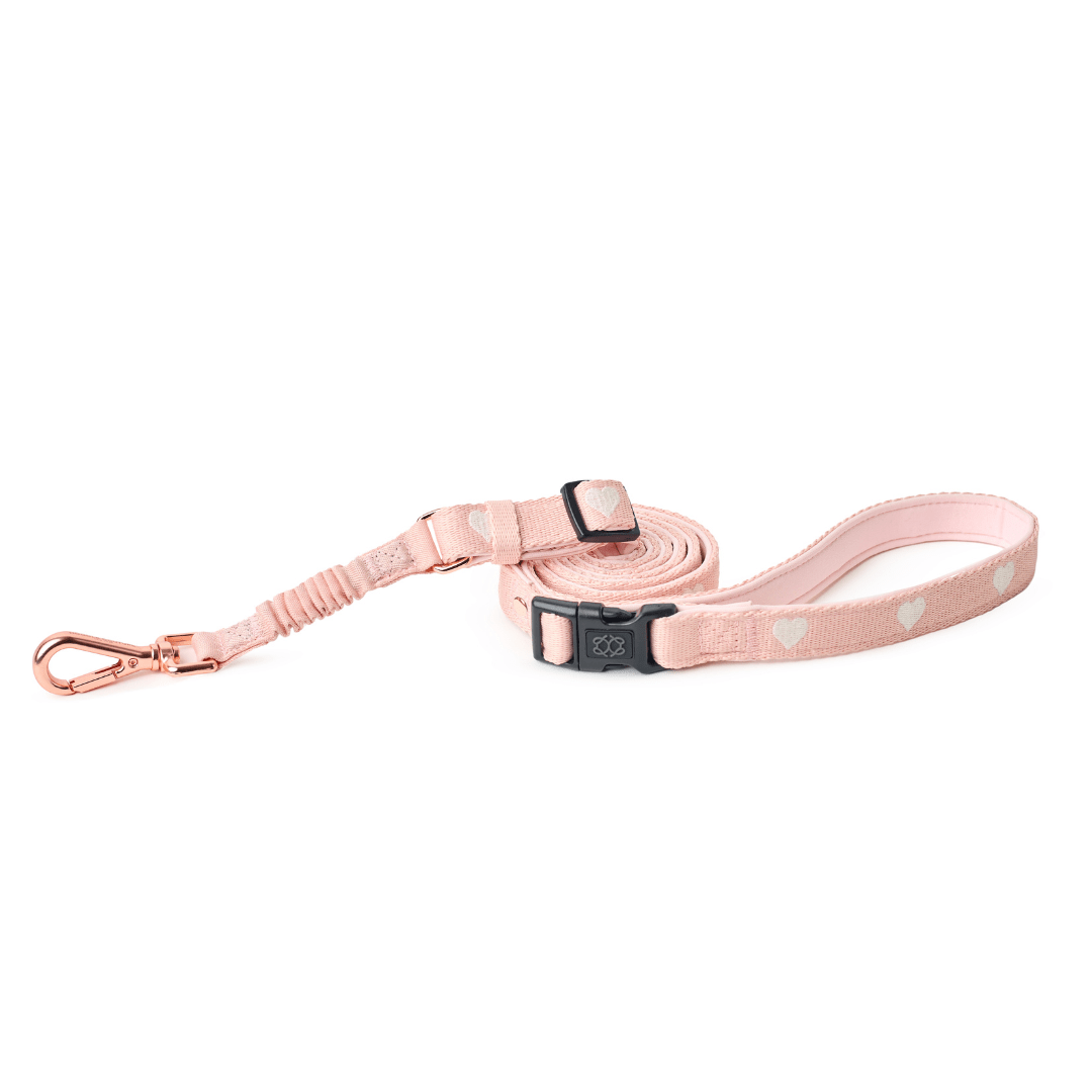 No-Pull Bungee Leash | City Dog Sweetheart