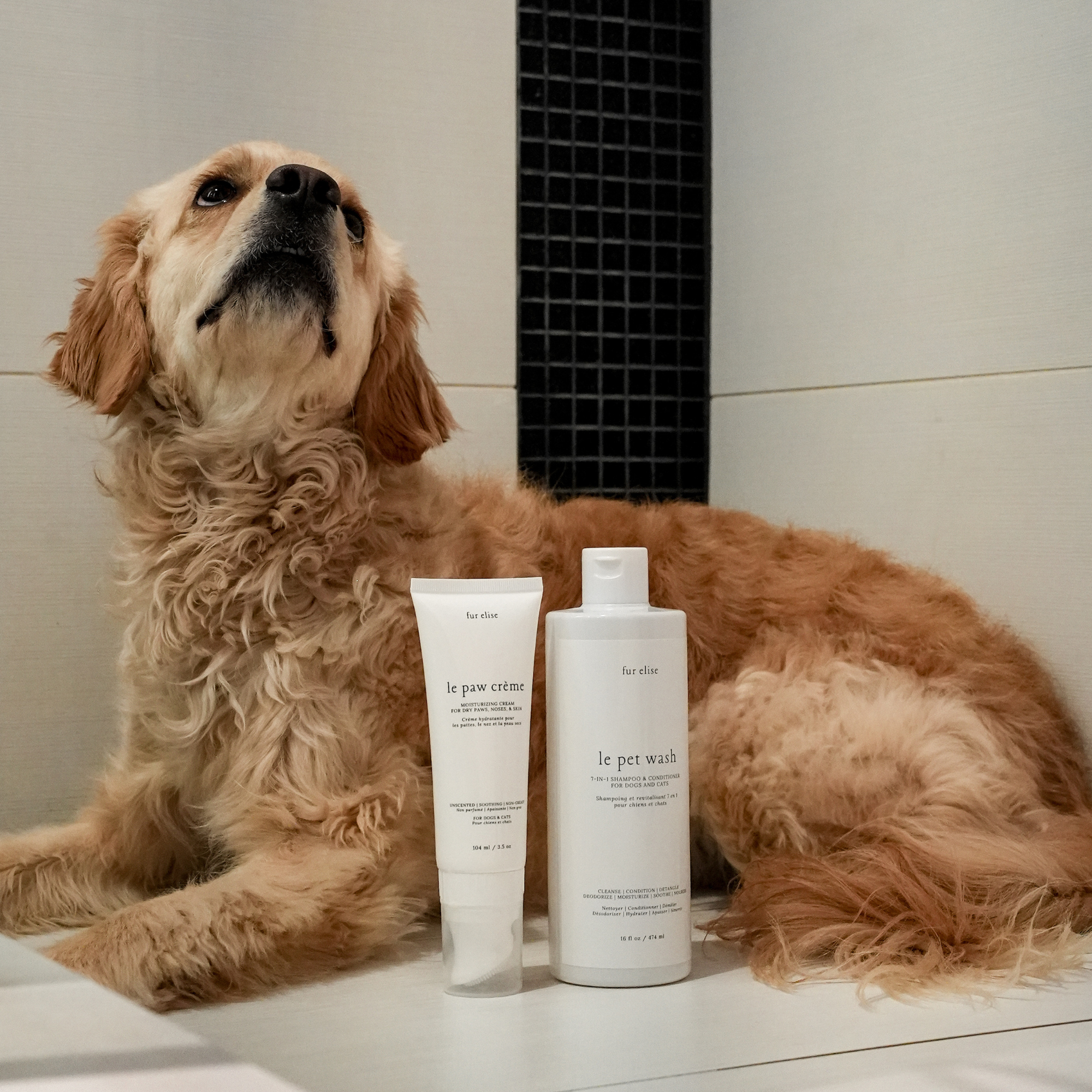 Hypoallergenic Sensitive Skin Le Grooming Pet Shampoo Set