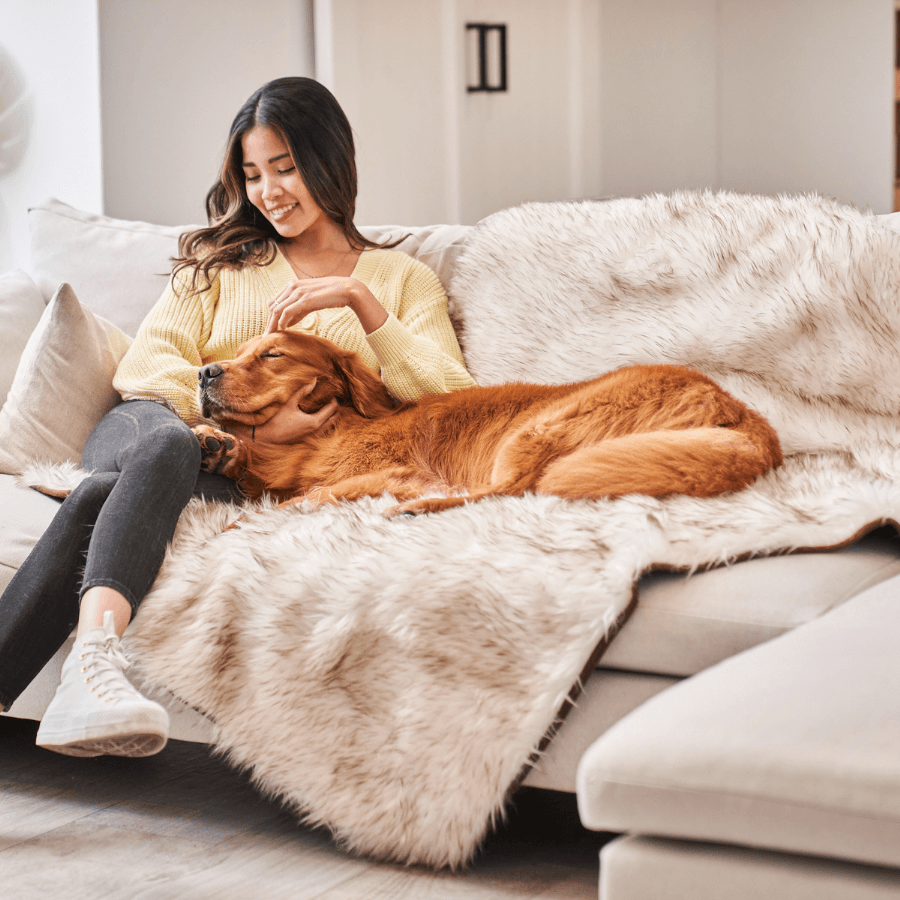 PupProtector waterproof dog blanket in white with brown accents, photo 2