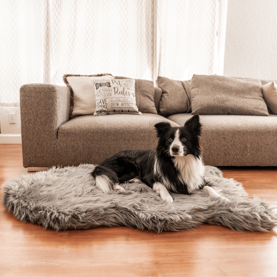 PupRug faux fur orthopedic dog bed in charcoal grey