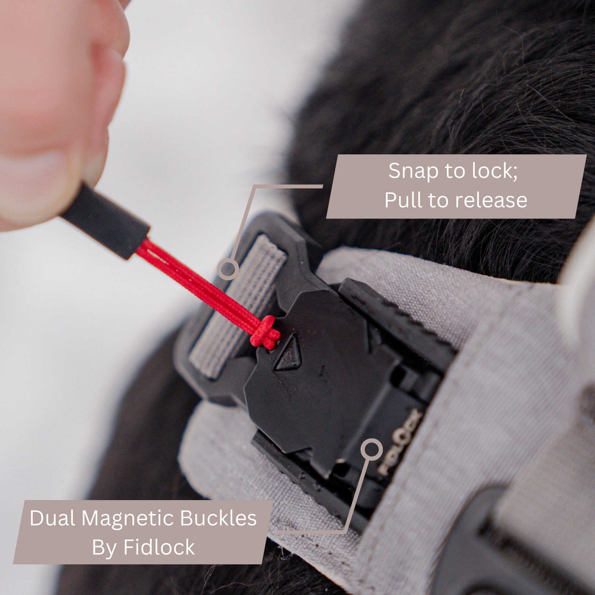 No-Pull Magnetic Dog Harness