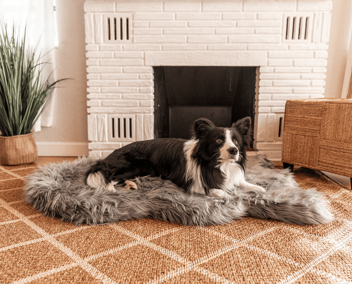 PupRug faux fur orthopedic dog bed in charcoal grey, photo 5