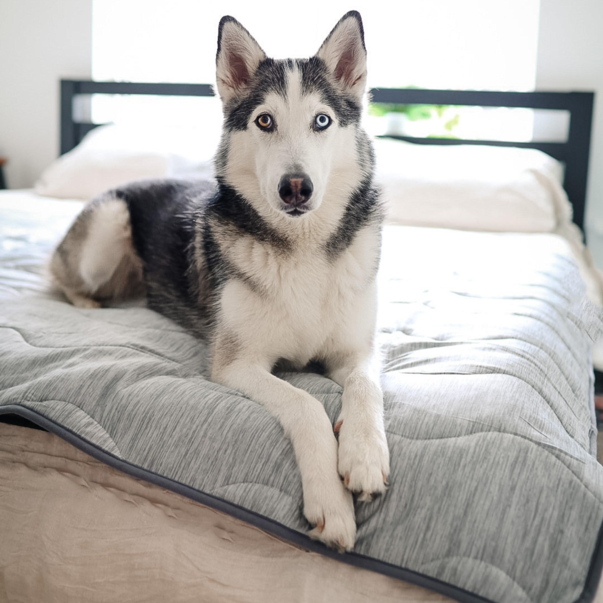 PupChill™ Cooling Waterproof Pet Blanket - Arctic Grey