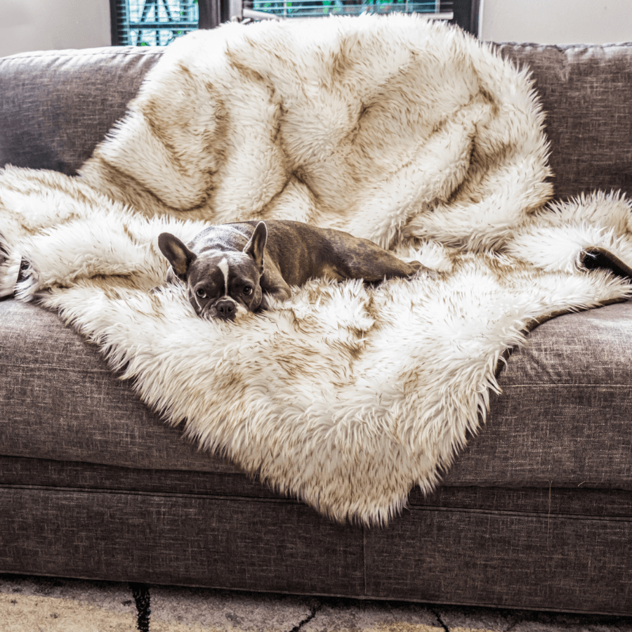 PupProtector waterproof dog blanket in white with brown accents, photo 6