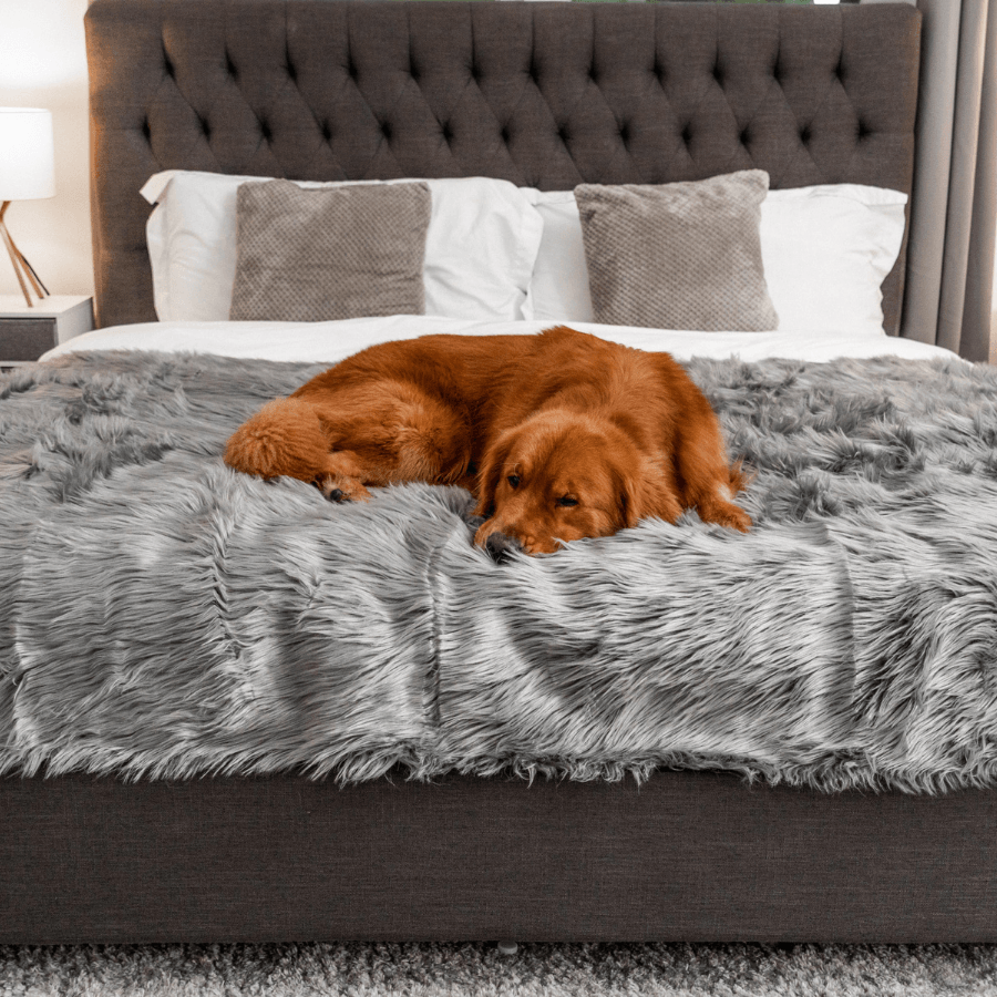 PupProtector waterproof dog blanket in charcoal grey, photo 9