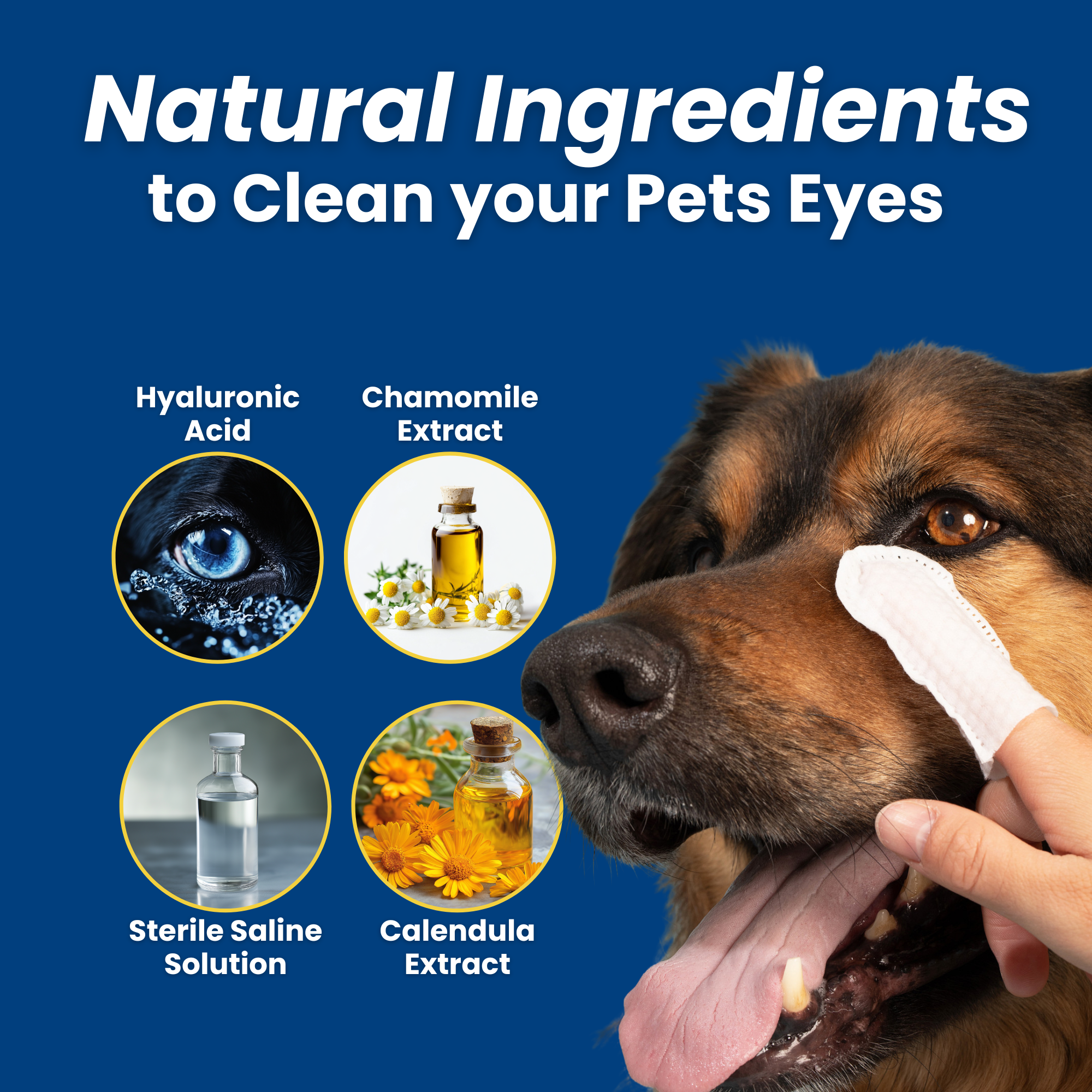 Pet Hygiene Bundle | Dental, Ear, & Eye Finger Wipes For Cats & Dogs
