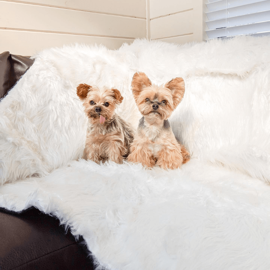 PupProtector waterproof dog blanket in polar white, photo 6
