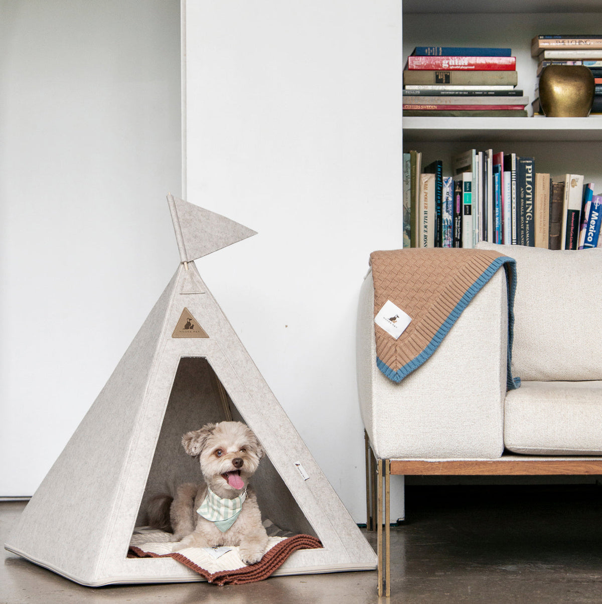 Small dog with a bandana relaxing in the Nooee teepee pet bed in a modern living room