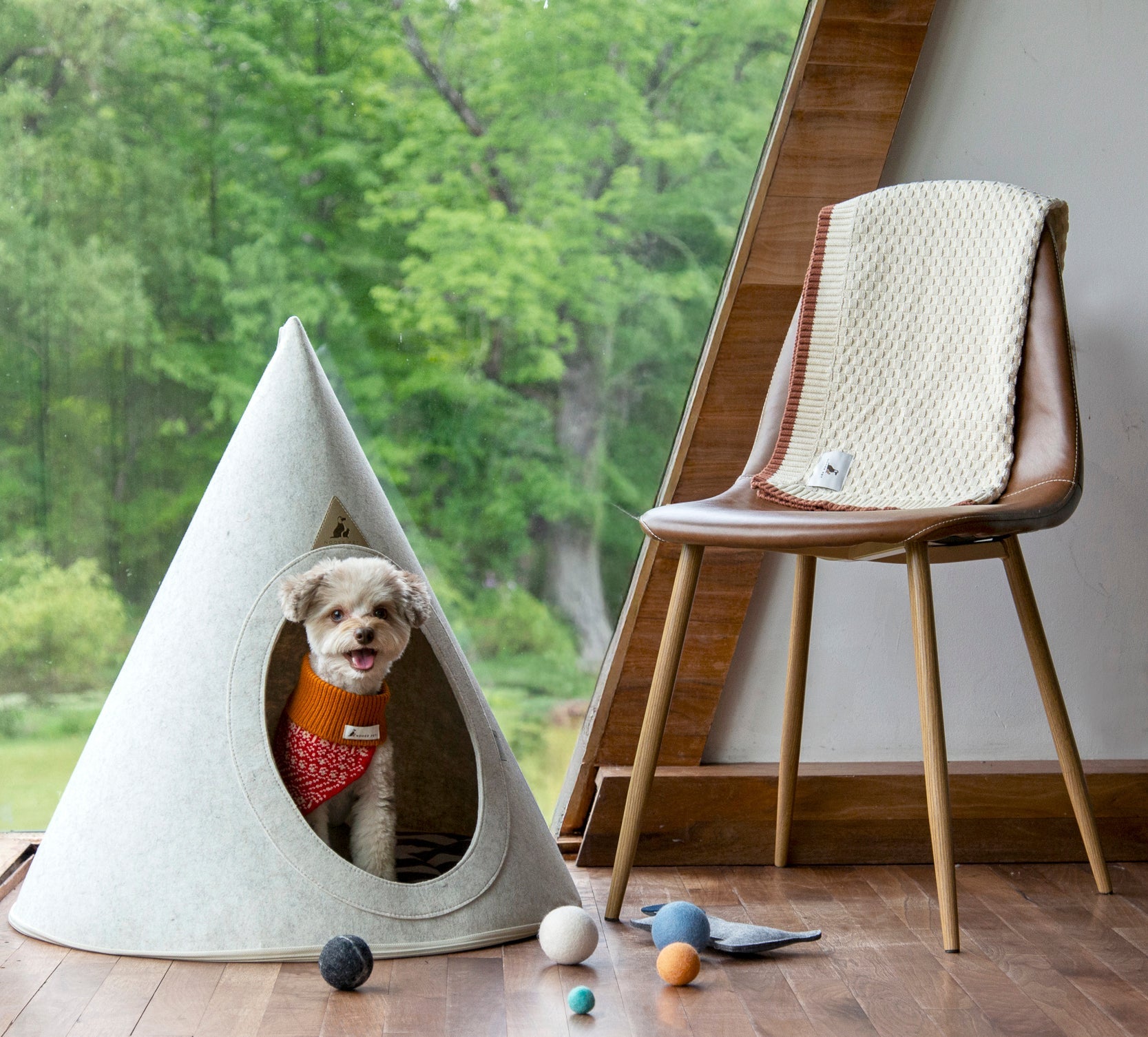 A small cute dog sitting inside a large size Nooee pet cave dog bed shaped cone