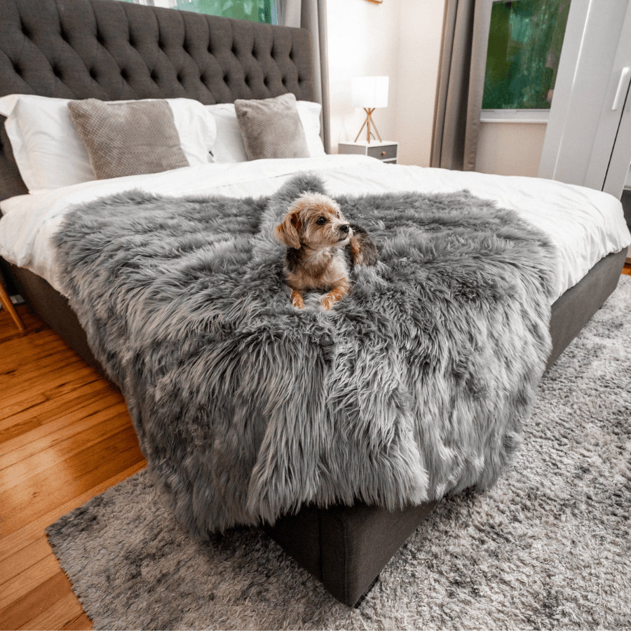 PupProtector waterproof dog blanket in charcoal grey, photo 2