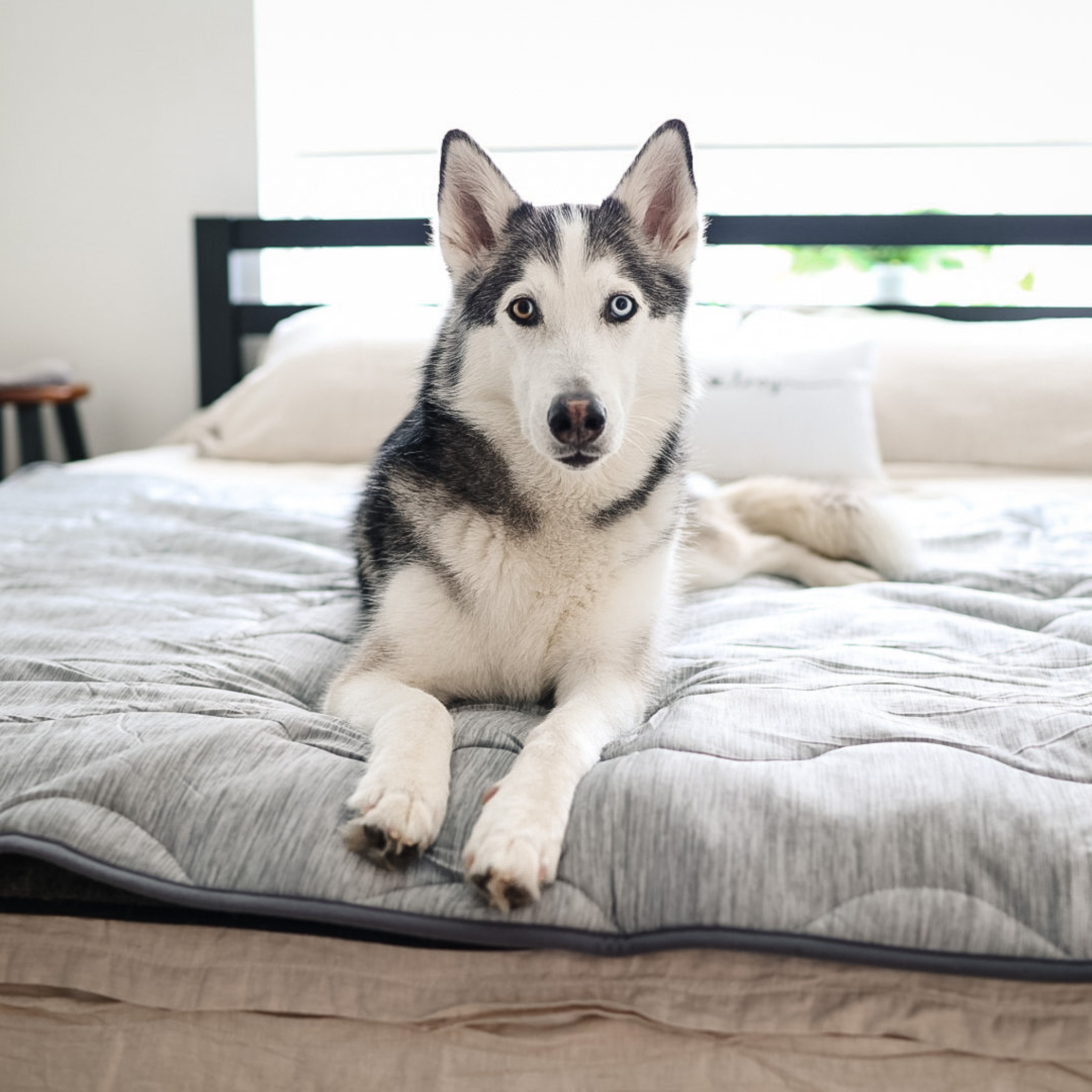 PupChill™ Cooling Waterproof Pet Blanket - Arctic Grey