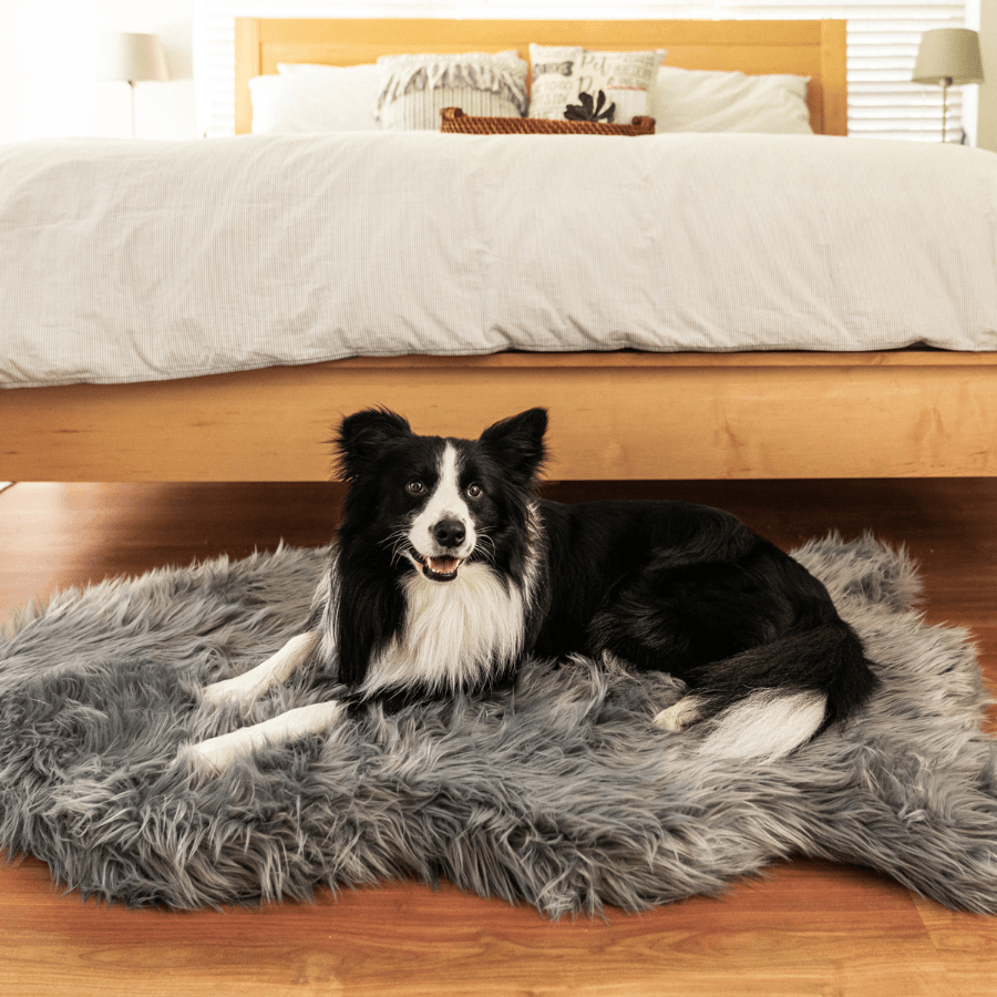 PupRug faux fur orthopedic dog bed in charcoal grey, photo 11