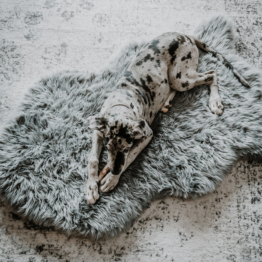 PupRug faux fur orthopedic dog bed in charcoal grey, photo 4