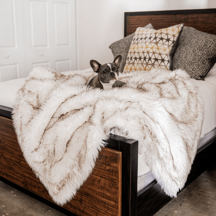 PupProtector waterproof dog blanket in white with brown accents