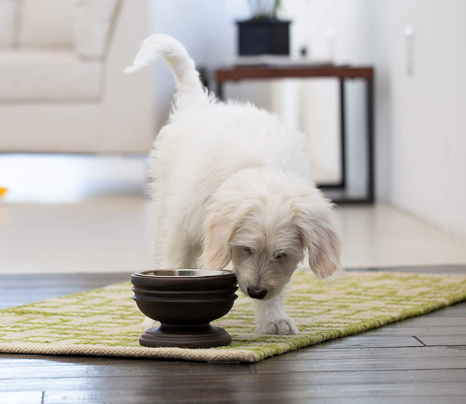 Chalice Style Summit Elevated Pet Bowl for Dogs & Cats