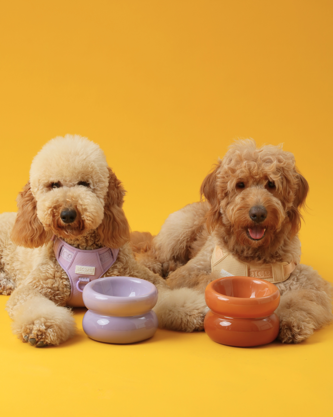 Soufflé Pet Bowl - Purple