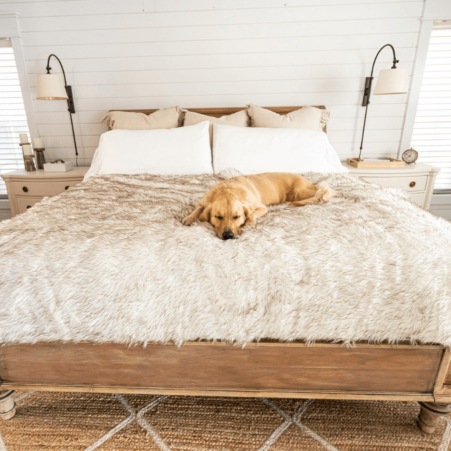 PupProtector waterproof dog blanket in white with brown accents, photo 9