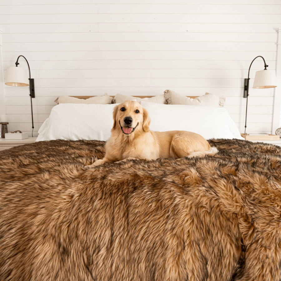 Golden retriever dog lying on a fluffy brown pet blanket in a bedroom