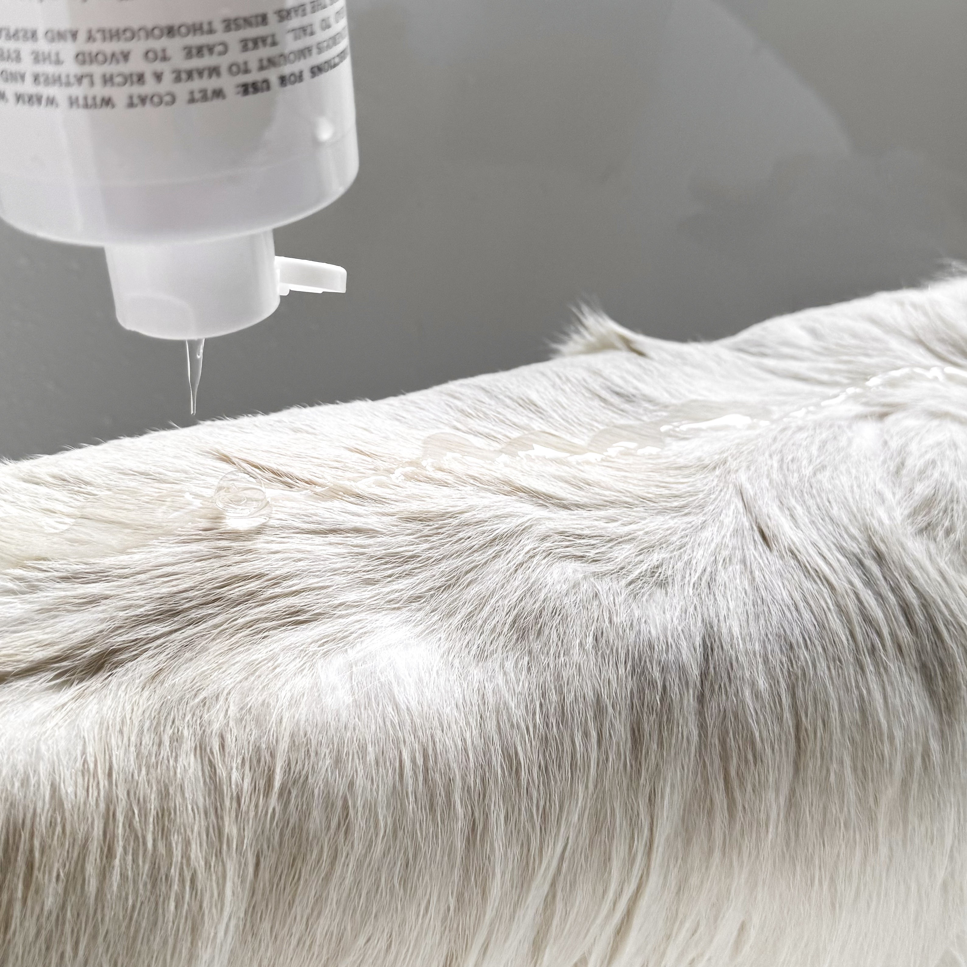 Plant Powered Le Pet Gentle Shampoo For Sensitive Skins