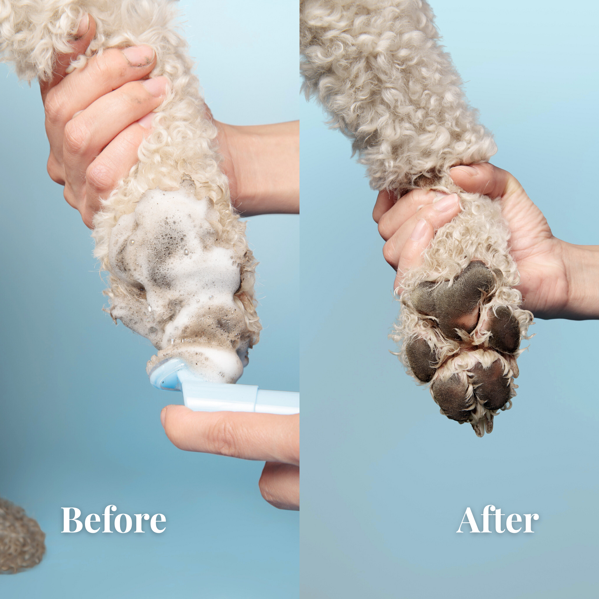 Paw Cleansing Foam + Paw Perfection Cream For Dogs