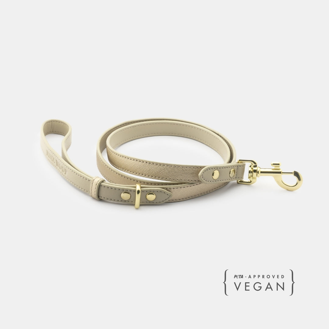 Dog Leash 4ft - Vegan Leather- Cute