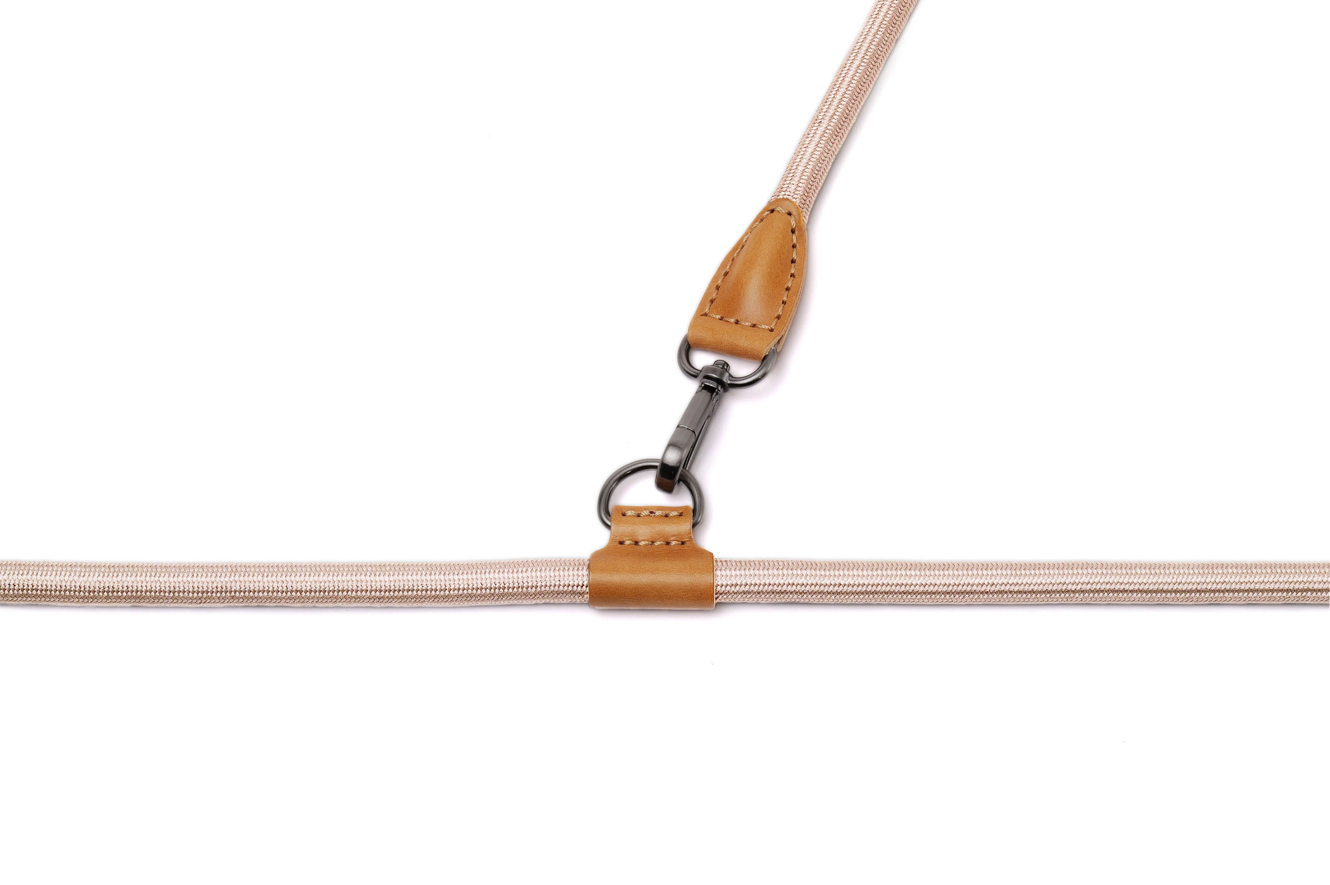 dog leash with brown leather ends and metal clip on a white background