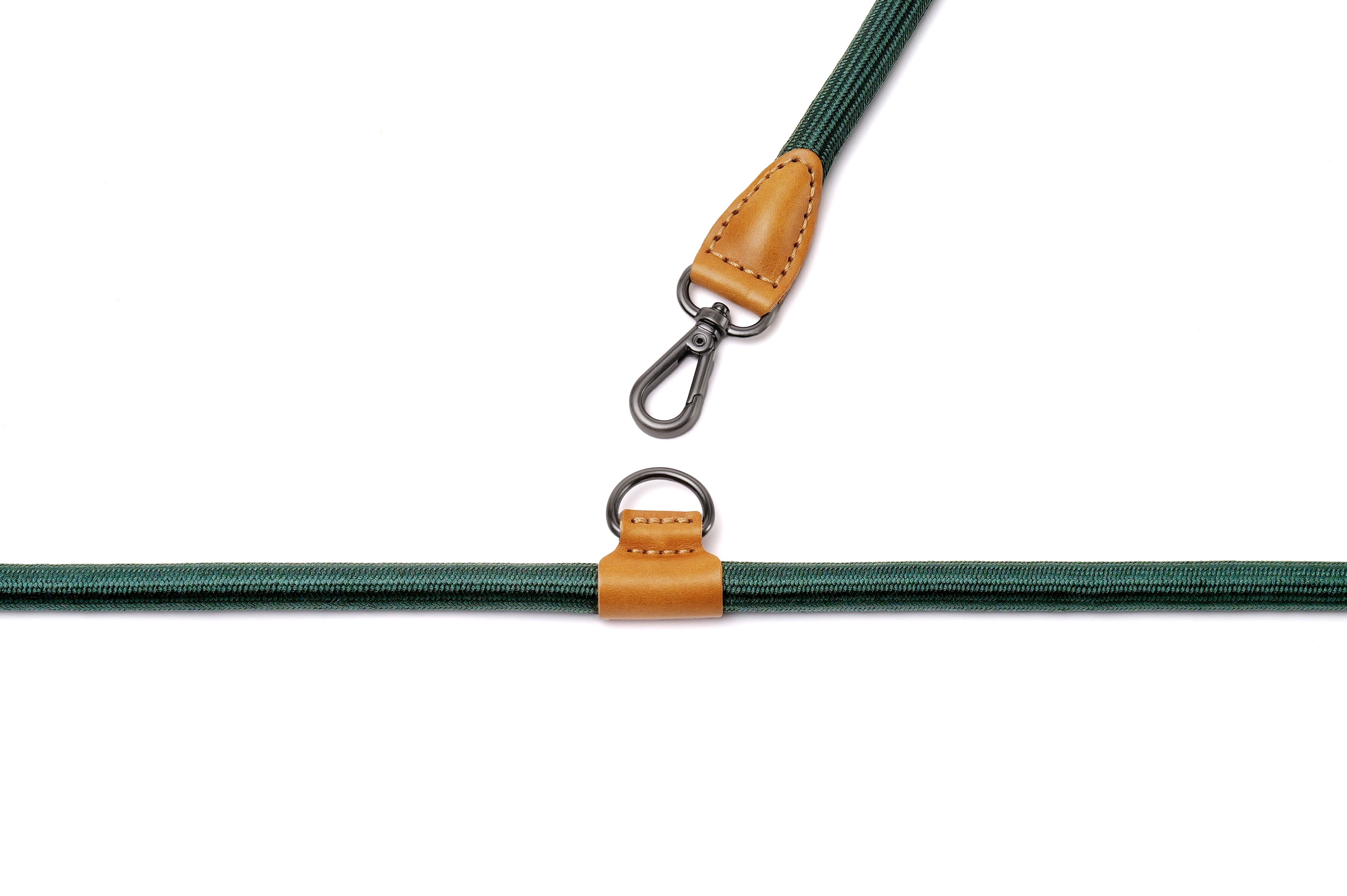 Hands-Free Ray Collar + Leash Set For Dogs | Jade Green